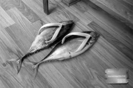 reef flip flops,Reef Flip Flops: A Comprehensive Guide