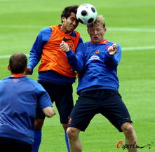 2008年欧洲杯荷兰,2008年欧洲杯：荷兰的成功征程