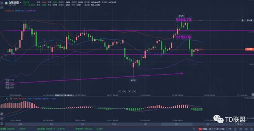 上海黄金交易今日行情,上海黄金交易今日行情分析