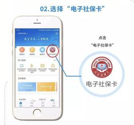 社保全国联网,3招教你快速查社保缴费 办理社保转移 领电子社保卡
