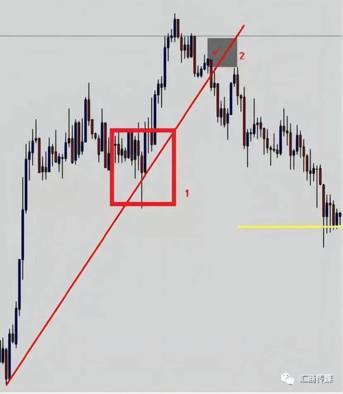 50倍杠杆爆仓赔多少钱,50倍杠杆做爆涨资金计算 50倍杠杆爆仓赔多少钱,50倍杠杆做爆涨资金计算 快讯