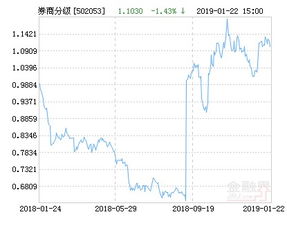 长盛中证全指证卷指数分级502053属于什么指数