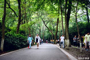 杭州五日亲子游第一站 九溪云镜,杭州绝景,人在画中游