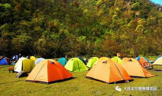 露营大赛方案模板