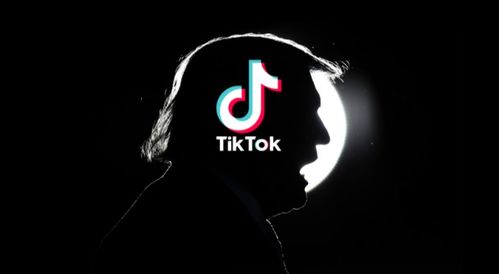 美国ID注册tiktok_tiktok一级代理商