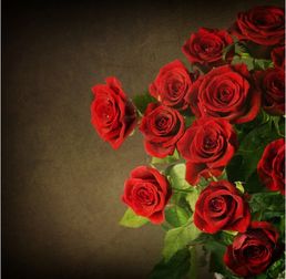 99朵红玫瑰花语,99玫瑰花语是什么，99玫瑰花语介绍