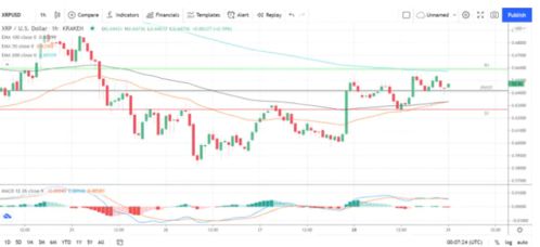  xrp瑞波币最新消息今日行情走势,瑞波币的价格走势 区块链