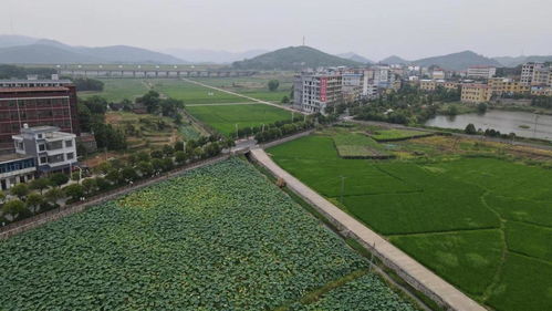 湖南郴州桂阳龙潭街道