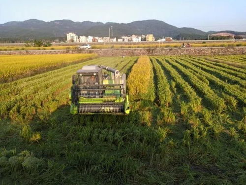 守护 舌尖上的安全 廿三里这个示范区获评 省级病虫害绿色防控示范区