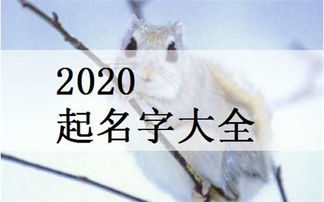 2020年11月出生鼠宝宝八字起名网帮取名