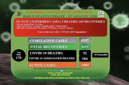 赞比亚新增119例新冠肺炎确诊病例 累计确诊6347例