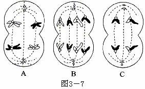 图3 8是人体细胞有氧呼吸过程的图解.据图回答 1 图中①.②.③所代表的物质分别是 . . 青夏教育精英家教网 