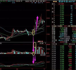 5天之内有涨停的选股公式是什么