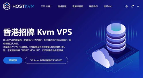 最便宜香港vps,性价比之选，稳定可靠