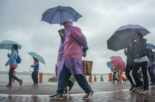 遇到连续下雨,该如何保持训练