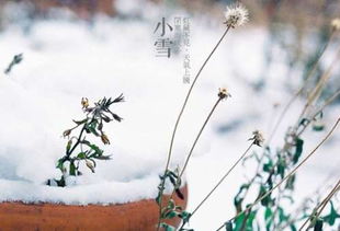 2018年小雪是哪一天