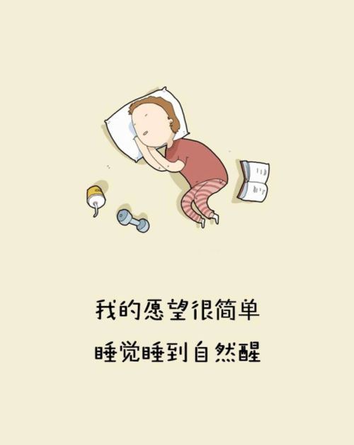 啊老师快点点进来|木马走绳