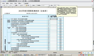 你好！请问税收调查表中的企业表数据该怎么填写呢？