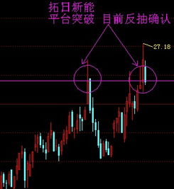 拓日新能员工可以买自己的股票吗