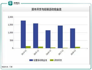 股本分红后，有点把红利转为股本，有点直接拿走红利，在财务中如何做账