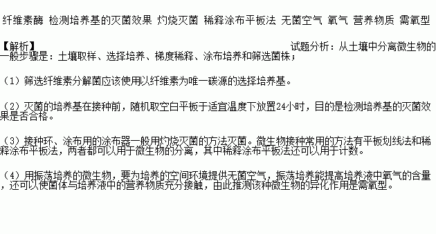 微生物铁载体转运调控机制及其在环境污染修复中的应用 