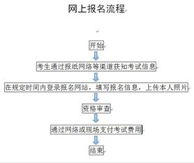 南阳人事考试网审计师报名流程图