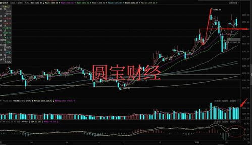  ton币的最新行情数据分析,克拉币虚拟货币只涨不跌是真吗? USDT行情