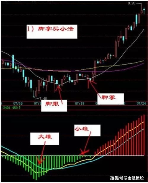 线下单机的时候为什么两种股票都不动了