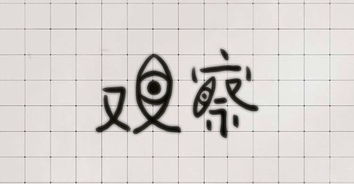 今日作业 x 两个字体