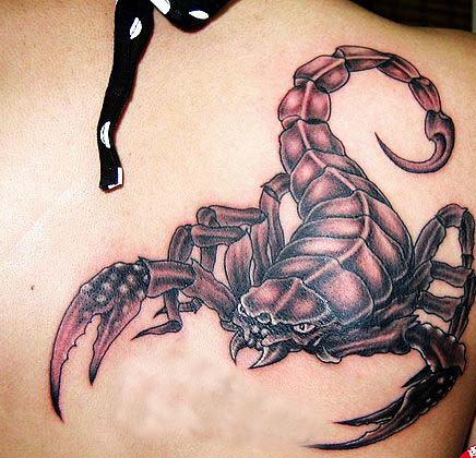 纹名天下纹身贴 蝎子 酷 帅 订做 假纹身 堆糖,美好生活研究所 