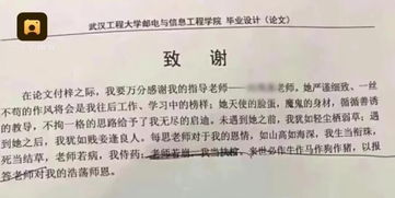 关于毕业论文的段子