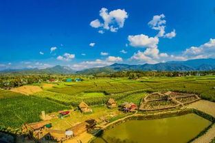 项目 可食地景,打造属于你我的城市后花园 