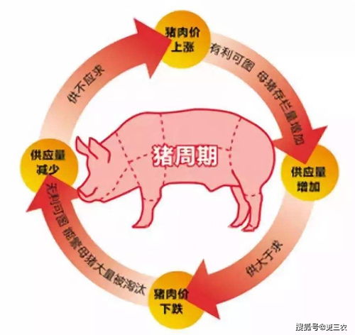 供应端政策调控之际猪肉股还会否带来惊喜一文看懂猪周期及背后的猪市沉浮