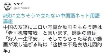 沙雕狗狗表情包老司机 信息图文欣赏 信息村 K0w0m Com