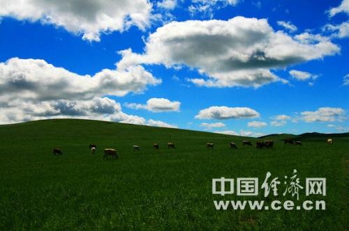 想去草原玩,内蒙古哪的草原好啊 自然地草原 ,不去旅游景点啊 谢啦 