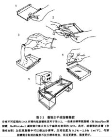 跑胶的maker是什么,序言:跑橡胶艺术的兴起。