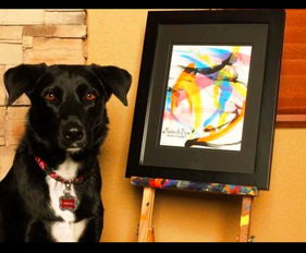狗狗作画有天赋,被称狗届毕加索,一张画竟有人花500美元买 