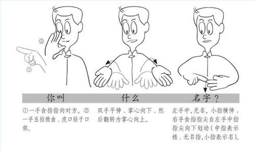 心扉手语社 心扉第二次手语课堂活动开讲了