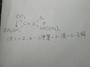 Z/E标记法中Z表示什么意思