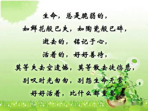 清明节,致 我们已经逝去的亲人 