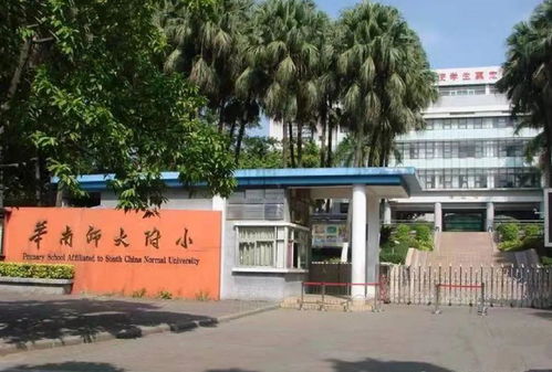 华南师范大学函授小学教育(图1)