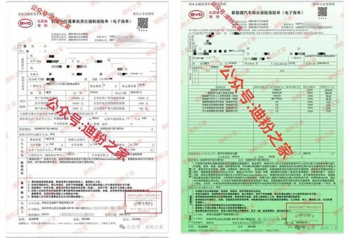  富邦车险保单查询史柯,富邦车险保单查询史柯的便捷之旅 天富平台