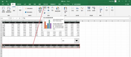 excel怎么创建表格筛选,如何利用Excel表格对数据进行自动筛选