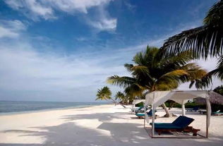 惠州马尔代夫酒店推荐体验浪漫的度假之旅（惠州你心中的马尔代夫）