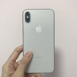 iPhone后面有必要贴膜吗(苹果手机后盖需要贴膜吗)