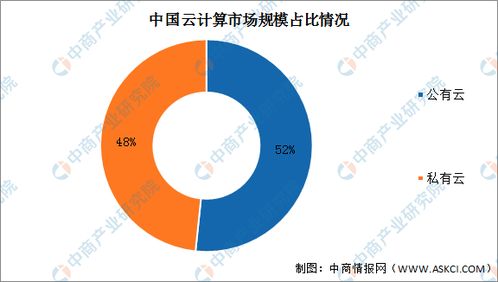 2022年中国云计算市场前景及投资研究预测报告 简版