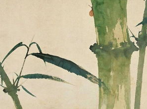 李白的诗关于竹子的诗句是什么意思