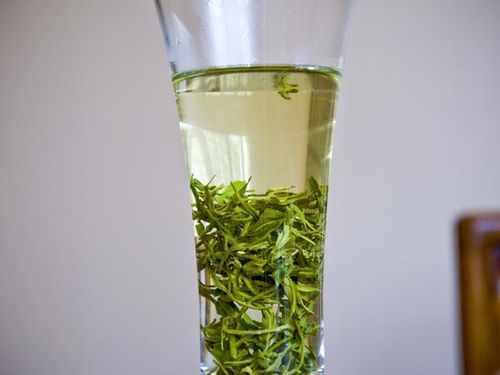玻璃杯品饮绿茶的优势一目了然,不服不行