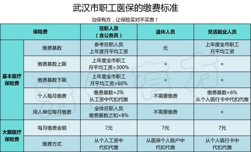 武汉市医保标准是多少