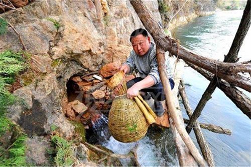 湖北 神秘山洞 ,清明节 吐出 上万斤鱼,还是国家保护动物